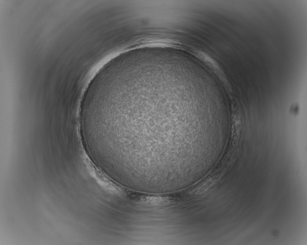 X0000115431427200911181450