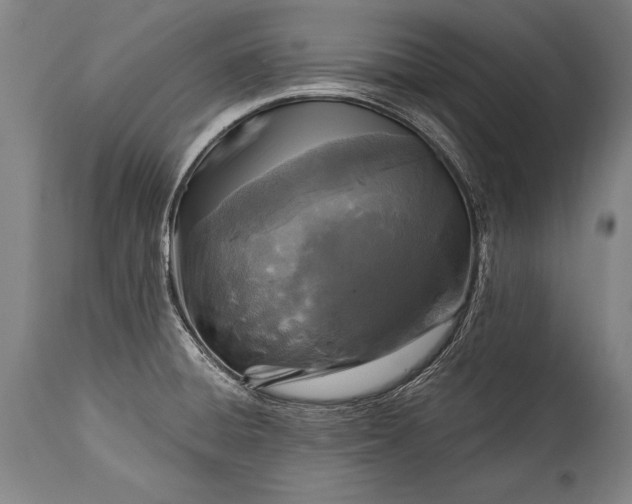 X0000115431428200911181450