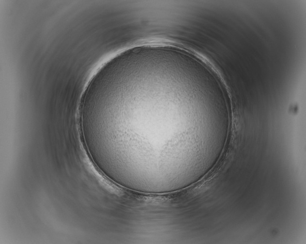 X0000115431429200911181450