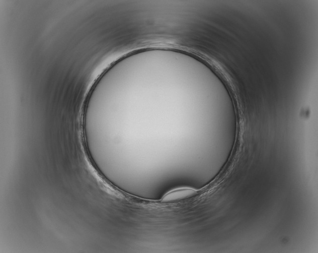 X0000115431432200911181450