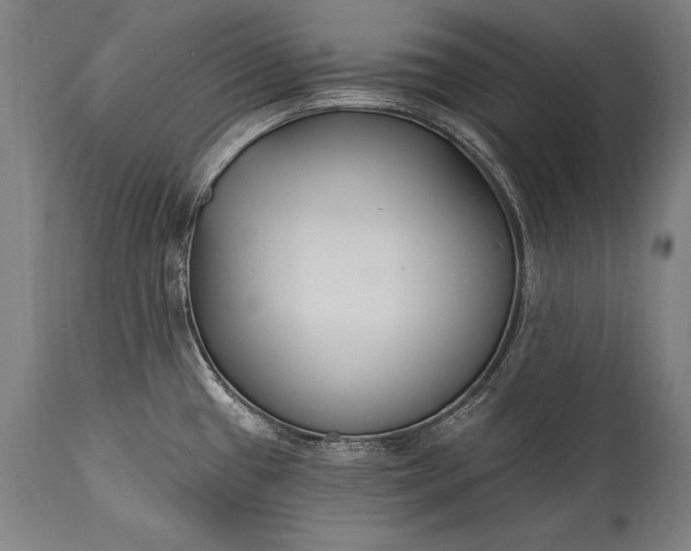 X0000115431433200911181450