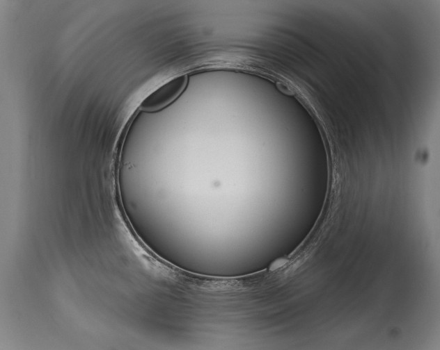 X0000115431434200911181450