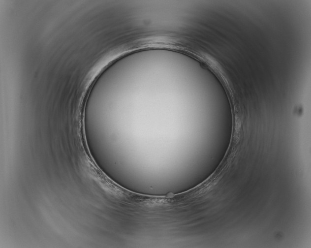 X0000115431435200911181450