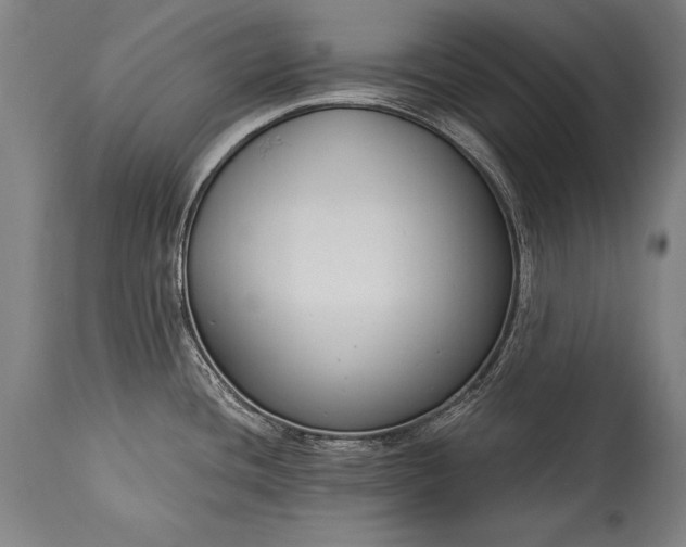 X0000115431436200911181450