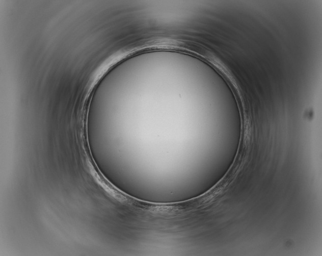 X0000115431437200911181450