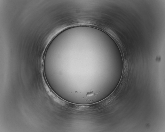 X0000115431439200911181450