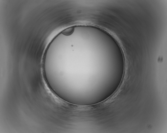 X0000115431440200911181450