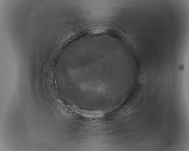 X0000115431441200911181449