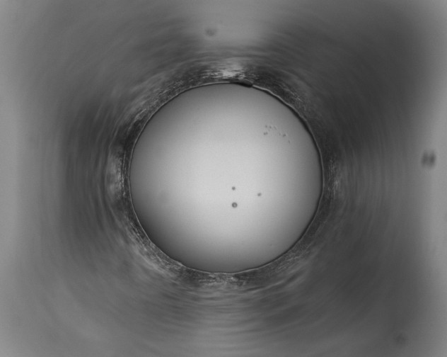 X0000115431442200911181449