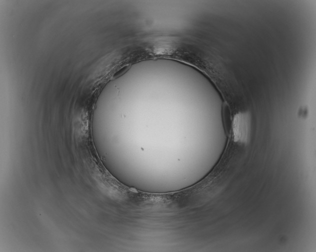 X0000115431443200911181449