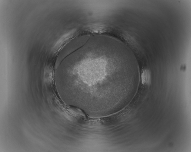 X0000115431444200911181449