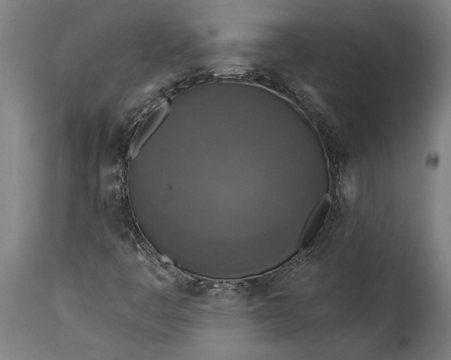 X0000115431445200911181449