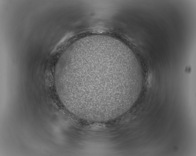 X0000115431446200911181449