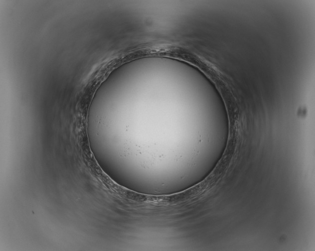 X0000115431447200911181449