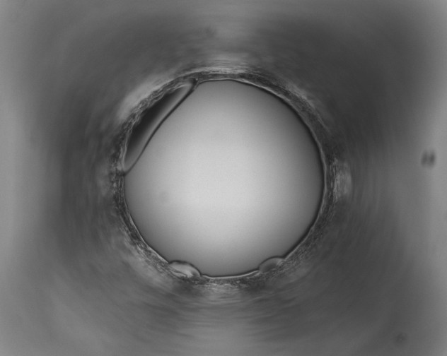 X0000115431448200911181449