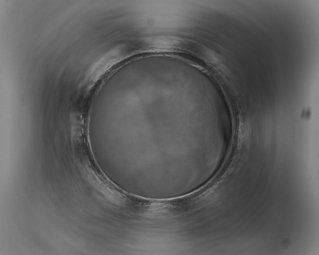 X0000115431449200911181449