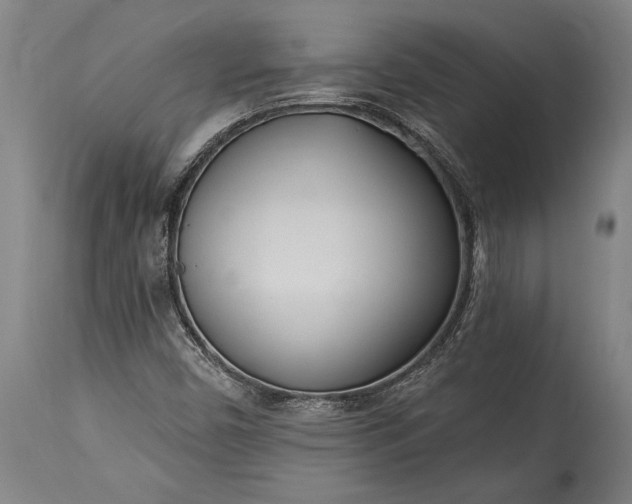 X0000115431450200911181449