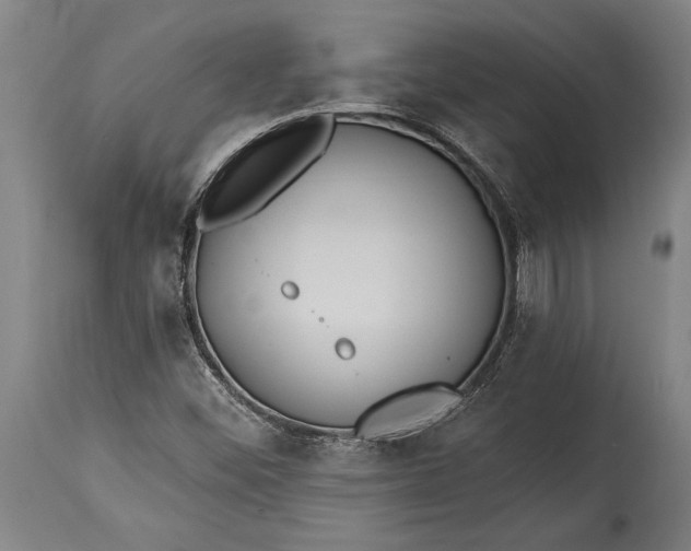 X0000115431452200911181449