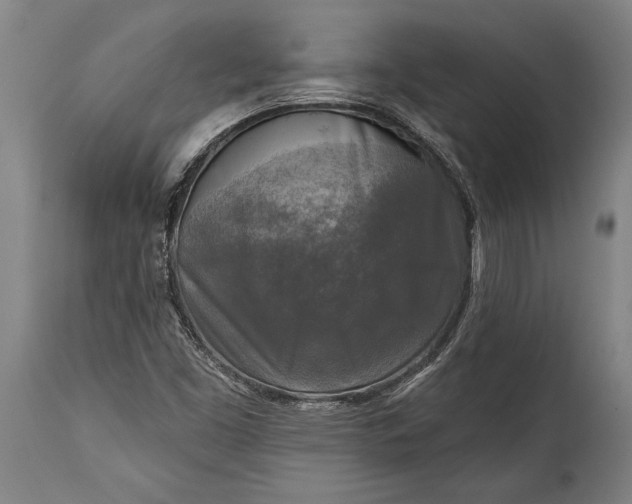 X0000115431453200911181449