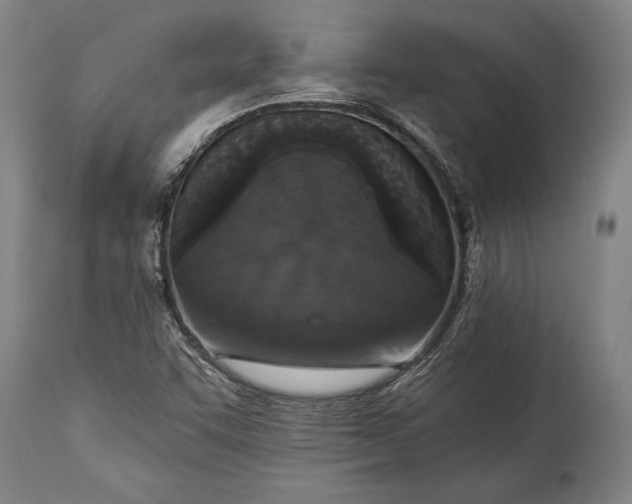 X0000115431455200911181449