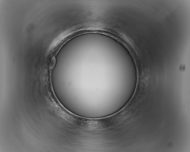 X0000115431456200911181449