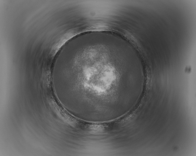 X0000115431457200911181449