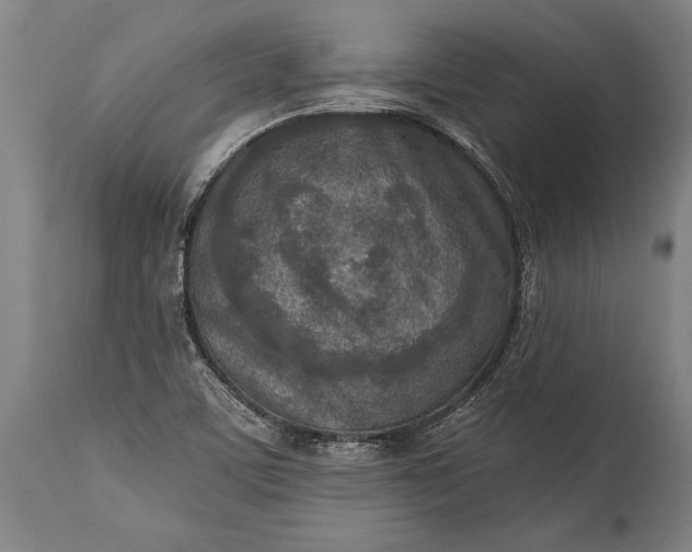 X0000115431459200911181449