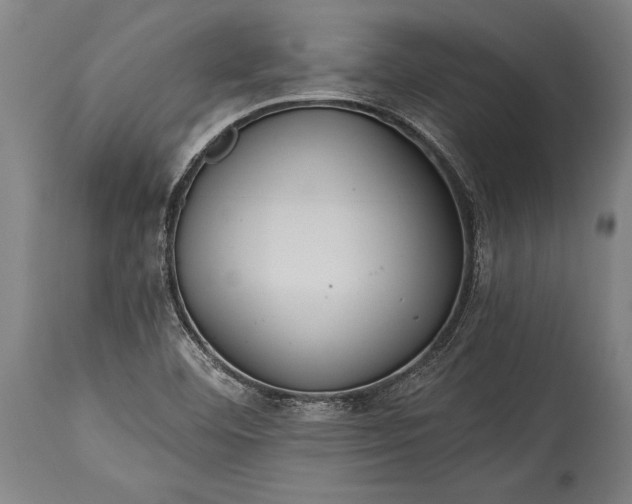 X0000115431460200911181449