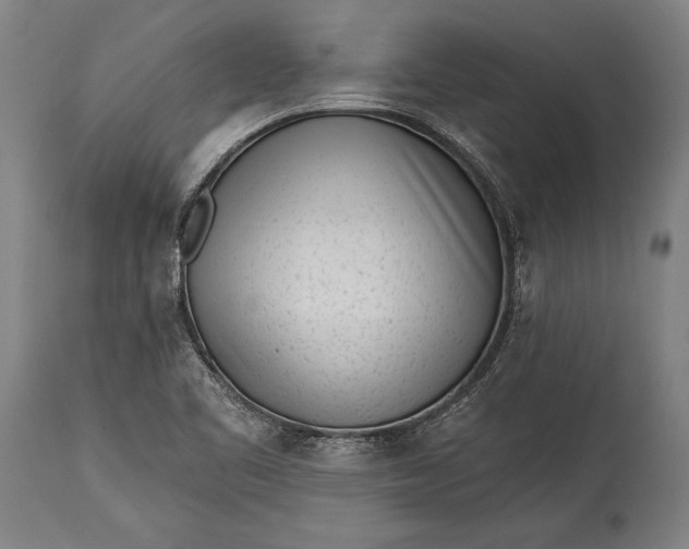 X0000115431461200911181449