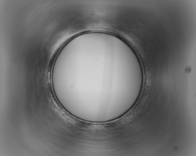 X0000115431462200911181449