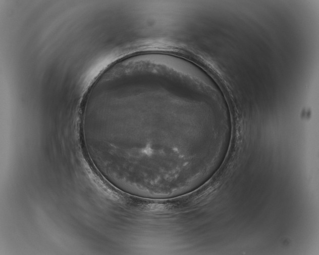 X0000115431463200911181449