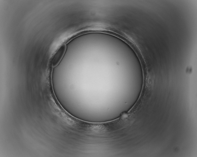 X0000115431464200911181449