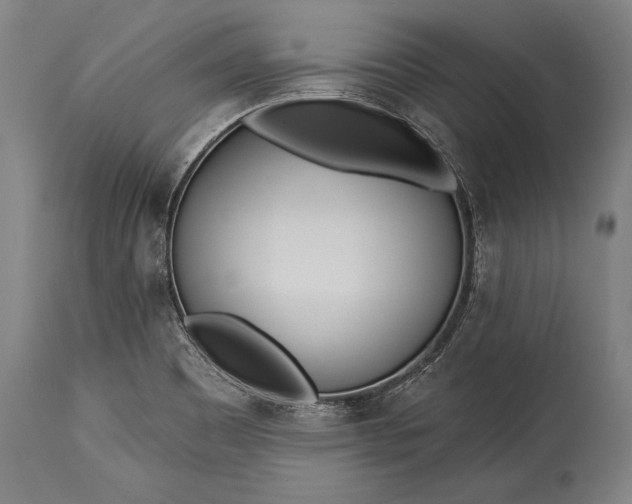 X0000115431465200911181449