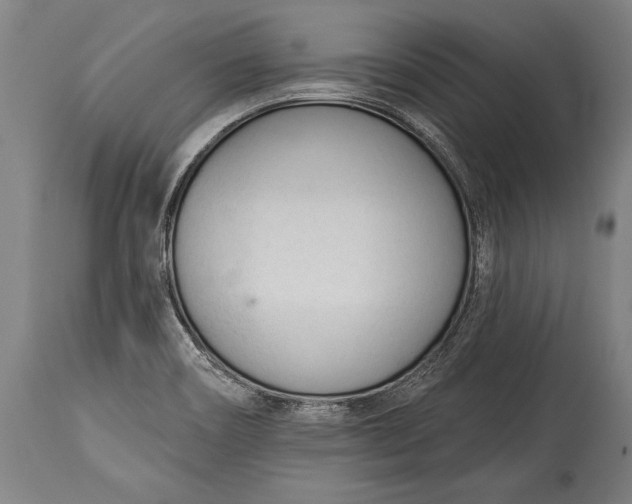 X0000115431466200911181449