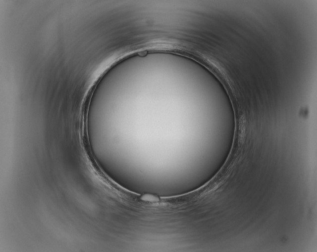 X0000115431467200911181449