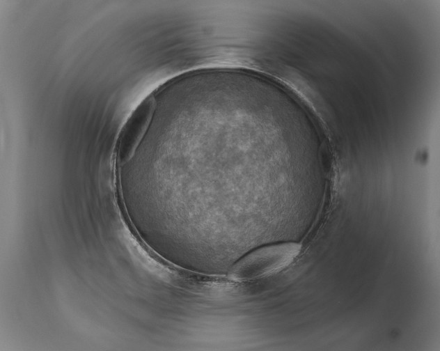 X0000115431468200911181449