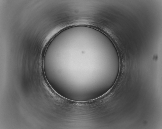 X0000115431469200911181449