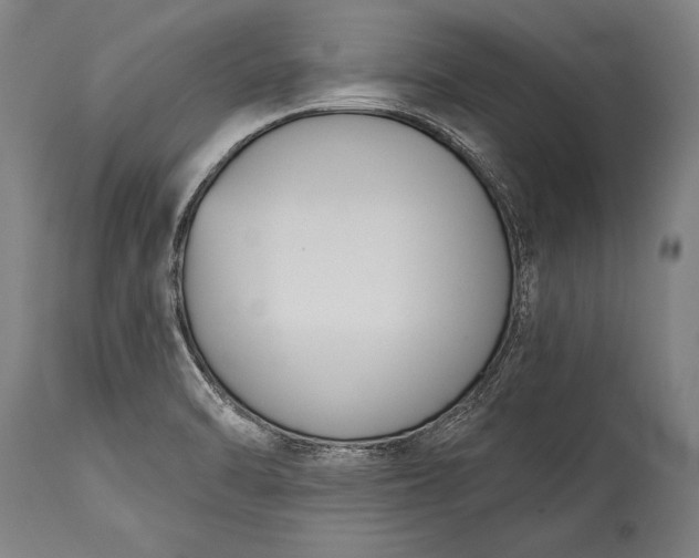 X0000115431470200911181449