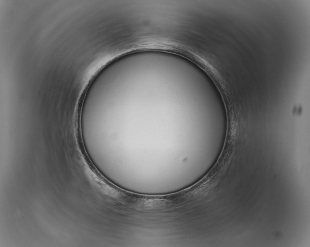 X0000115431471200911181449