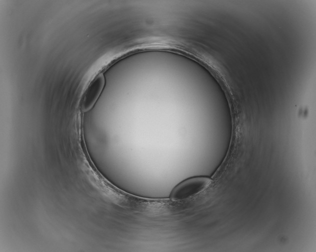 X0000115431472200911181449