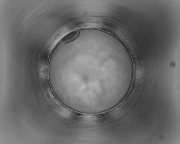 X0000115431473200911181449