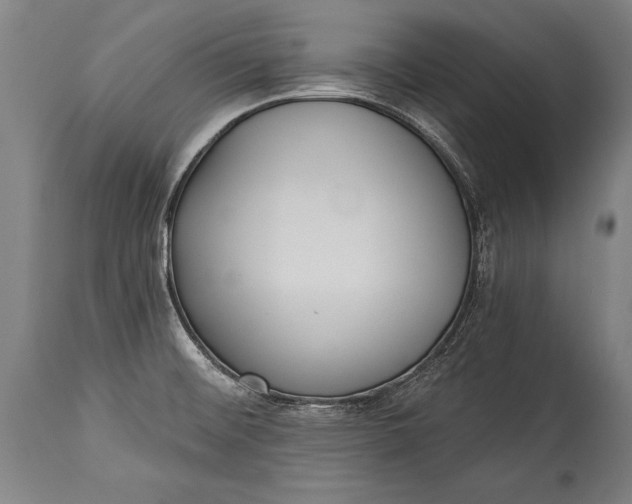 X0000115431476200911181449