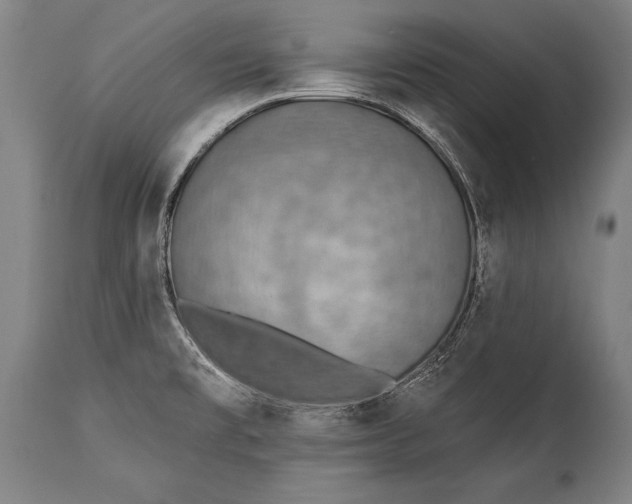 X0000115431477200911181449