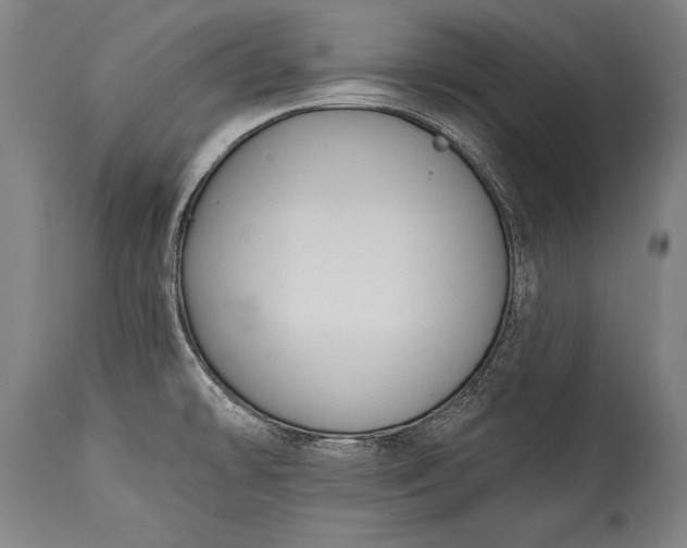 X0000115431478200911181449