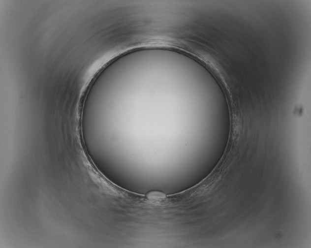 X0000115431480200911181449