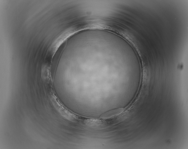 X0000115431481200911181449