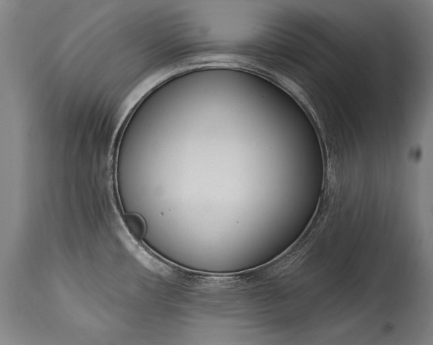 X0000115431482200911181449