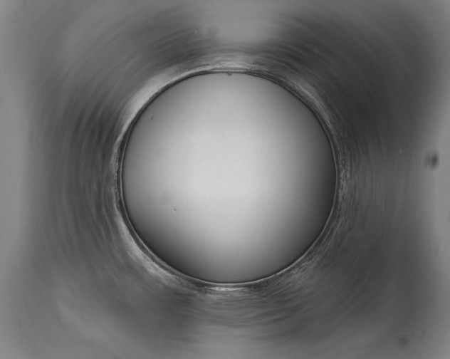 X0000115431483200911181449