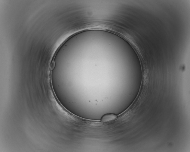 X0000115431484200911181449