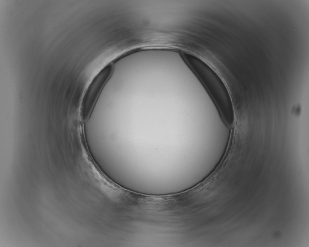 X0000115431485200911181449